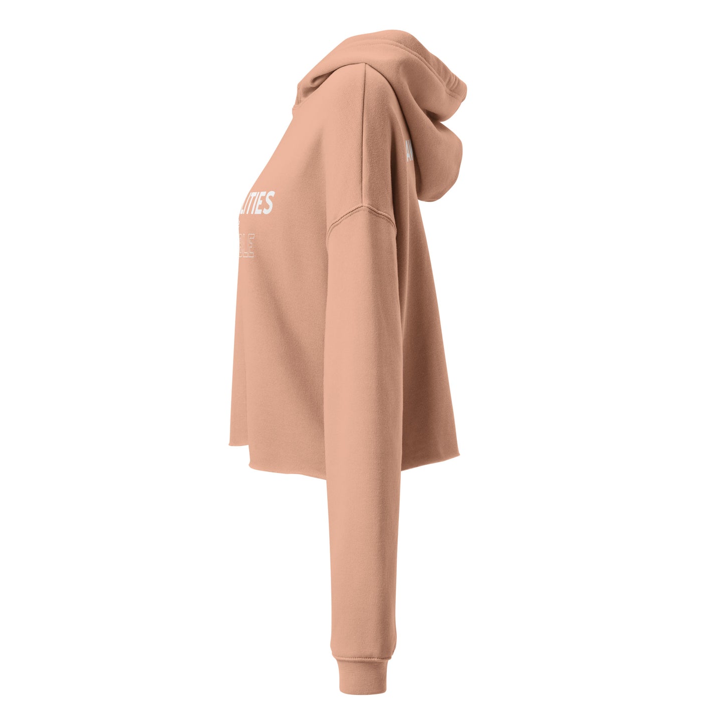 Invisible Disability (Awareness for All) Cropped Hoodie