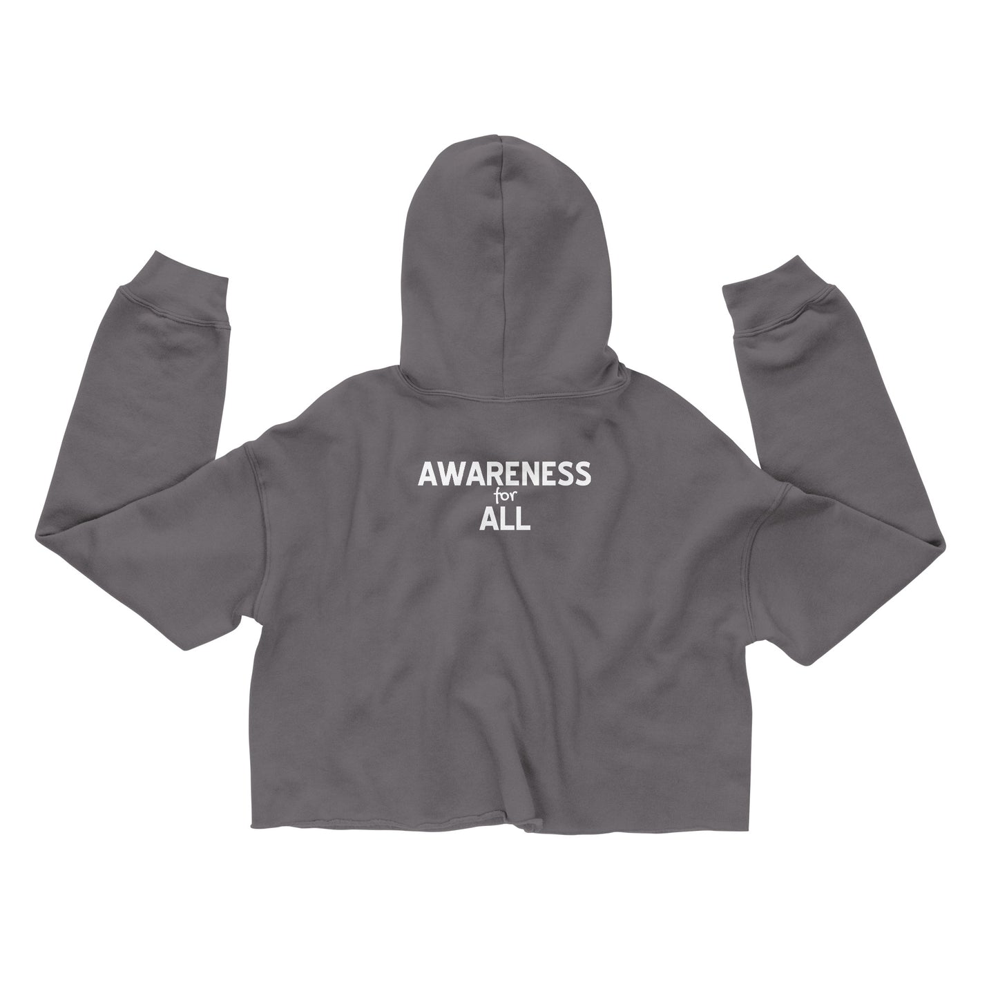 Invisible Disability (Awareness for All) Cropped Hoodie