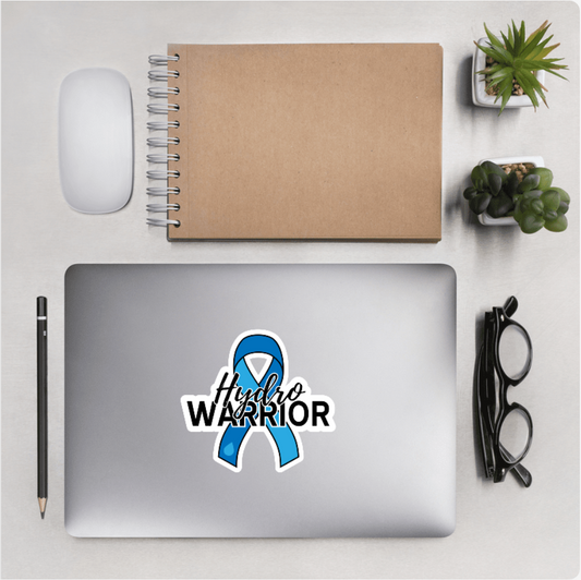 A laptop on a desk with a blue awareness ribbon sticker and the words 'Hydro WARRIOR' on the lid. The scene is styled as a flat lay with a notebook, mouse, pencil, glasses, and small potted succulents around it.